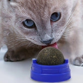 Catnip Licking Ball for Cats – Interactive Wall-Mounted Treat for Stress Relief & Play